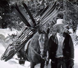 Yosemite National Park (1929) - Ansel Adams